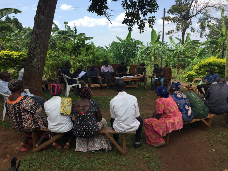 Ein Schatz vom Mount Elgon: Unsere Partnerschaft mit den Miale Tubana Bauern
