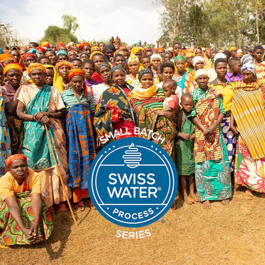 Kaffee aus Burundi — das Rotheca Project und die Frauen hinter deinem Decaf