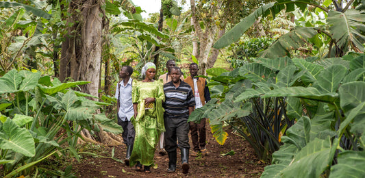 Slow Food Projekt "Gärten in Afrika"