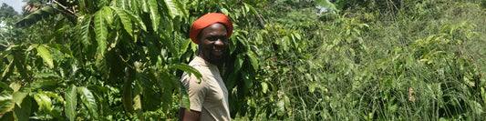 Canephora Revolution: Warum wir Tom Kalyesubula und seine "Littlefarms" lieben