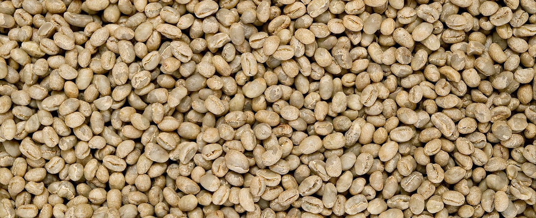 Peaberry: Was die Perlbohne besonders macht — und anders schmeckt