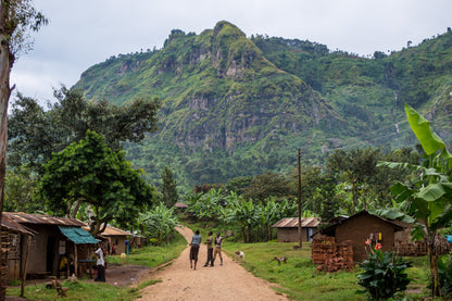 Miale Tubana Kooperative Uganda