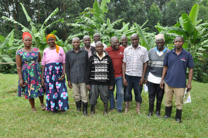 Miale Tubana Kooperative Uganda
